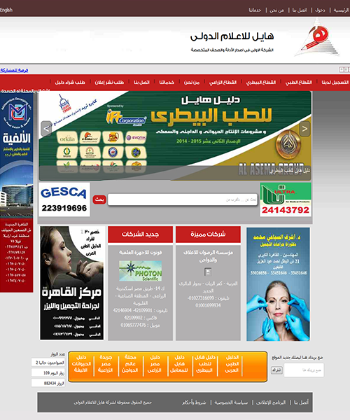 شركة هايل للاعلام الدولى